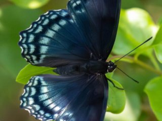 _CW_6589-Edit.jpg _CW_6589-Edit.jpg