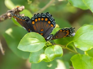 _CW_6609-Edit.jpg _CW_6609-Edit.jpg