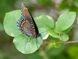 _CW_6672-Edit-Edit.jpg _CW_6672-Edit-Edit.jpg