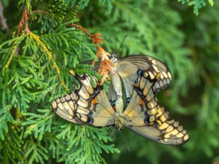 _CW_6797-Edit-2.jpg _CW_6797-Edit-2.jpg