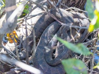 _CW_7562-Edit.jpg _CW_7562-Edit.jpg