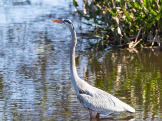 _CW_7571-Edit.jpg _CW_7571-Edit.jpg