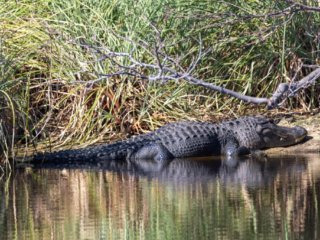 _CW_7610-Edit.jpg _CW_7610-Edit.jpg