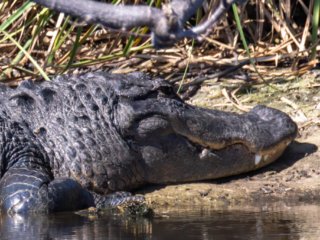 _CW_7610-Edit-2.jpg _CW_7610-Edit-2.jpg