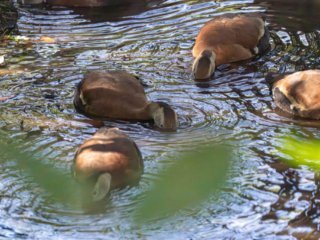 _CW_7625-Edit.jpg _CW_7625-Edit.jpg