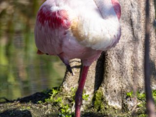 _CW_7639.jpg _CW_7639.jpg