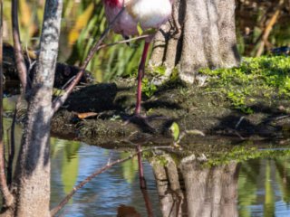 _CW_7651.jpg _CW_7651.jpg