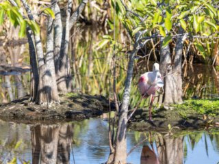 _CW_7654.jpg _CW_7654.jpg