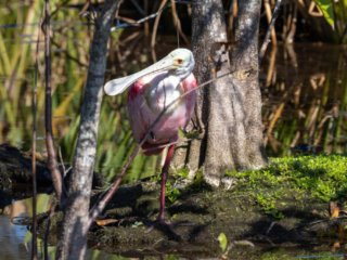 _CW_7656-Edit.jpg _CW_7656-Edit.jpg