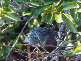 _CW_7669-Edit.jpg _CW_7669-Edit.jpg