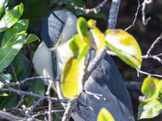 _CW_7681-Edit.jpg _CW_7681-Edit.jpg