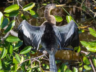 _CW_7685-Edit.jpg _CW_7685-Edit.jpg