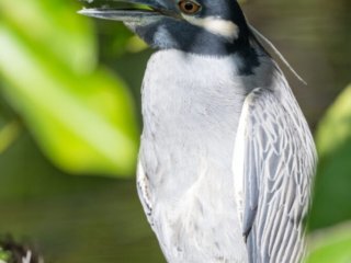 Verbally Complaining!!