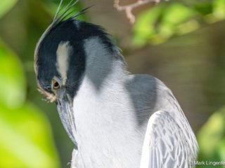 I'm going back to sleep.