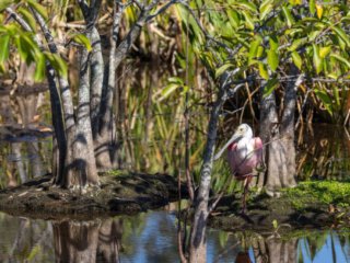 _CW_7659.jpg _CW_7659.jpg