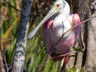 _CW_7659-Edit.jpg _CW_7659-Edit.jpg