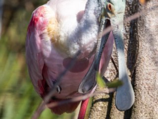 _CW_7662-Edit.jpg _CW_7662-Edit.jpg