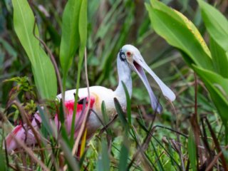 DSC_8708-Edit.jpg DSC_8708-Edit.jpg