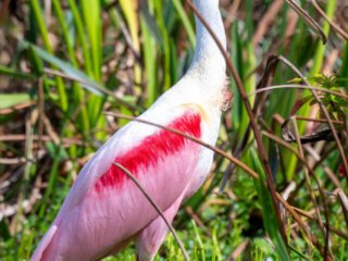 DSC_8895-Enhanced-NR-Edit.jpg DSC_8895-Enhanced-NR-Edit.jpg