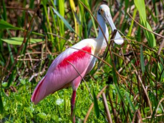 DSC_8944-Edit.jpg DSC_8944-Edit.jpg