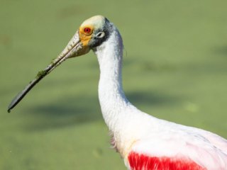 _NZ93905-Edit.jpg _NZ93905-Edit.jpg