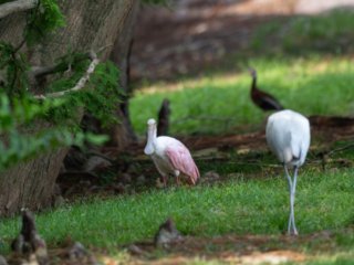 NZ9_0628-Edit.jpg NZ9_0628-Edit.jpg