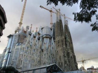 IMG_0707
