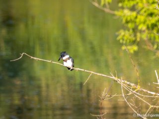 _CW_4251-Edit