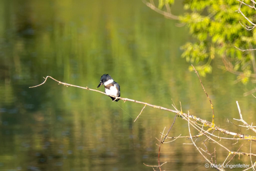 _CW_4251-Edit