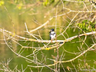 _CW_4274-Edit