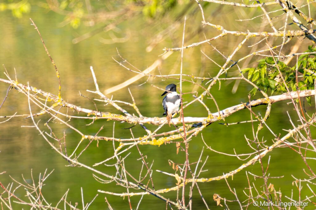 _CW_4274-Edit